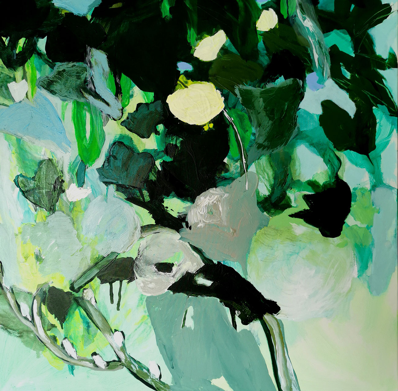 Petites coques d'eau